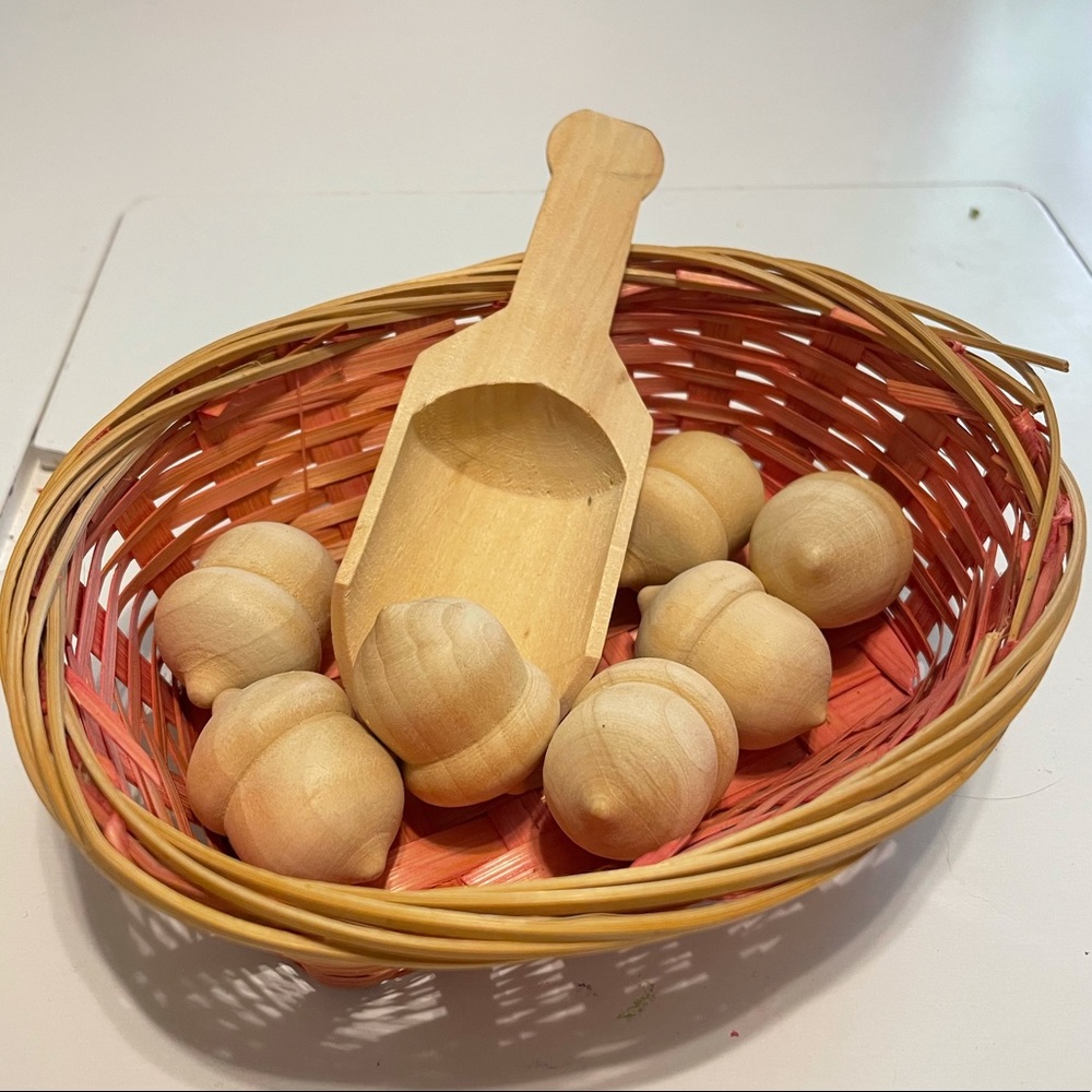 Wooden Acorns/Montessori Play